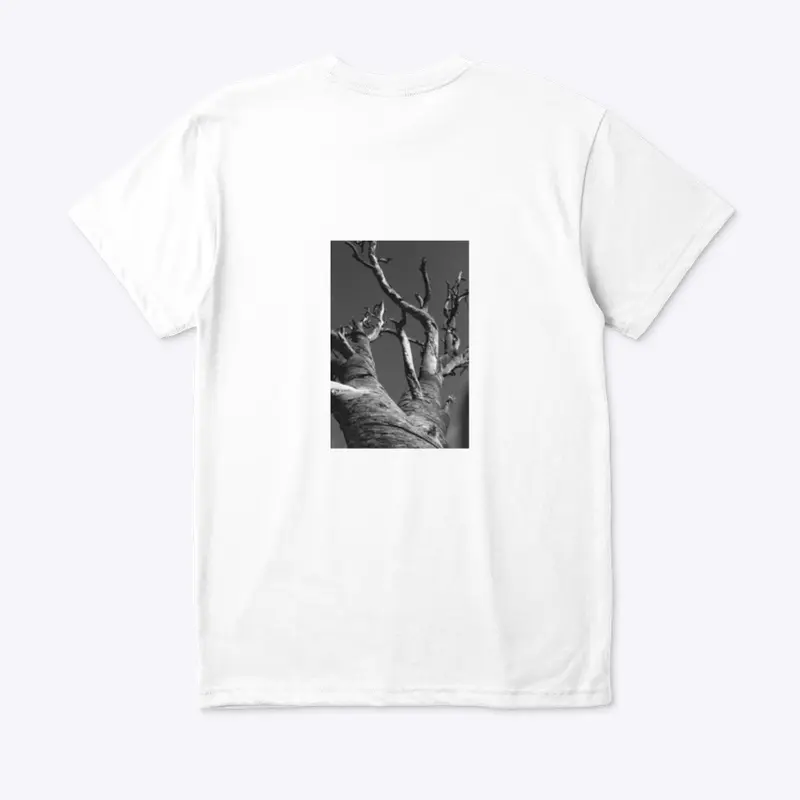 "Joshua Tree" Eco Unisex Tee @thewilleye